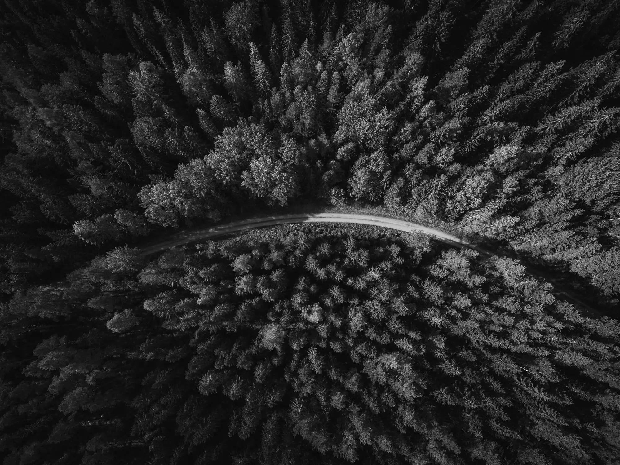 Carretera aérea en blanco y negro representando el camino hacia mejores decisiones
